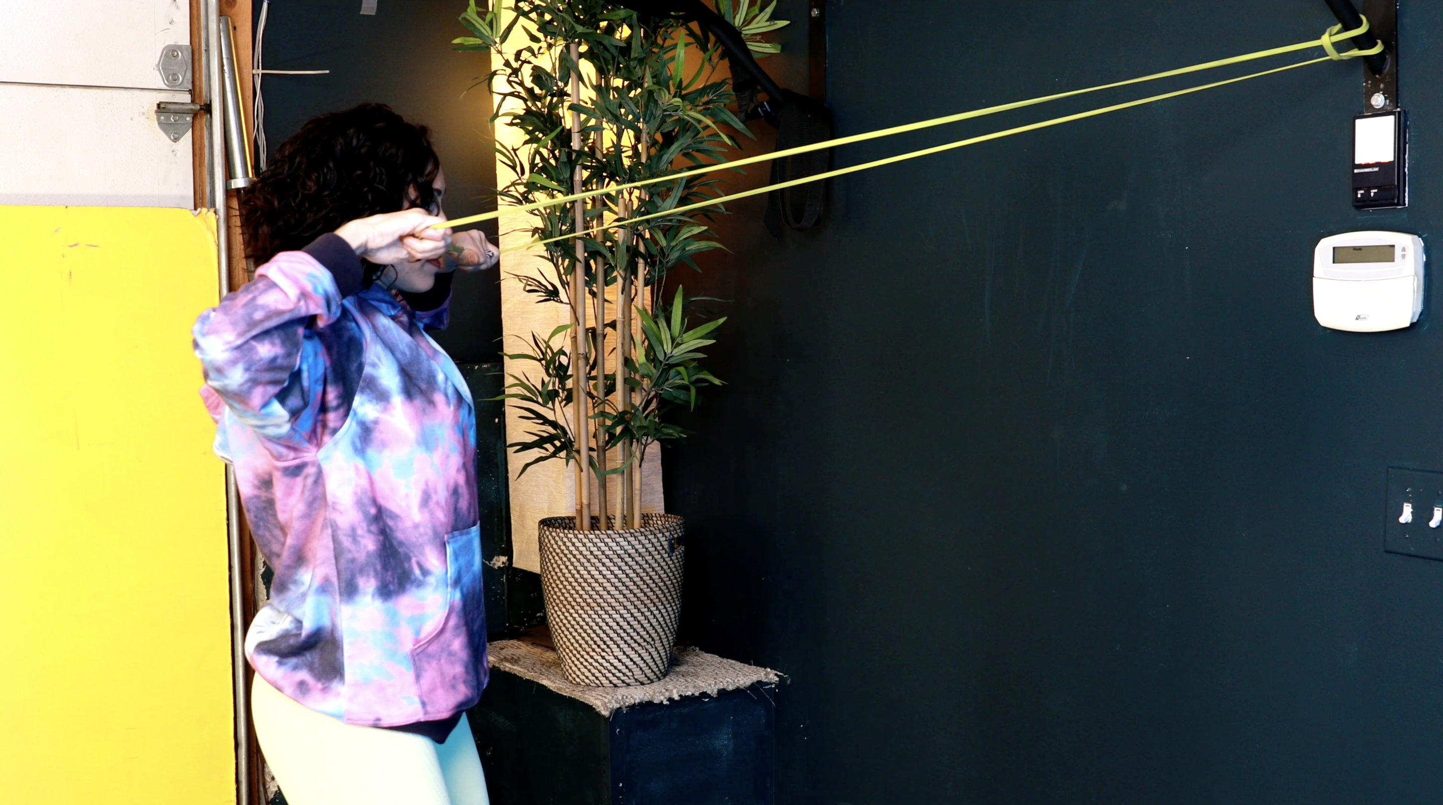 HV Week 10 Day 3 Exercise 3 Face Pulls