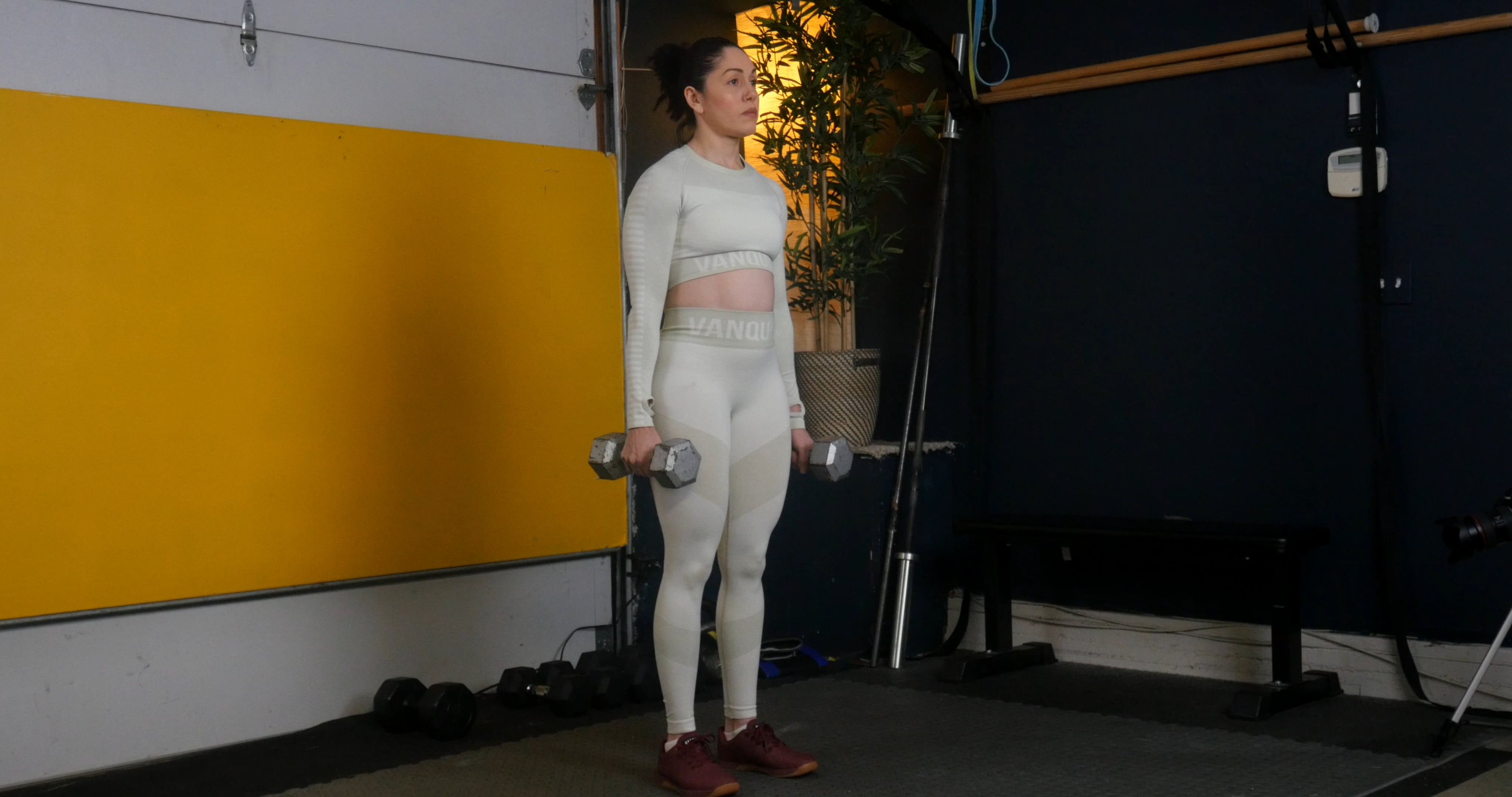 Leg & Core Ex. 3 - Double dumbbell standing calf raises