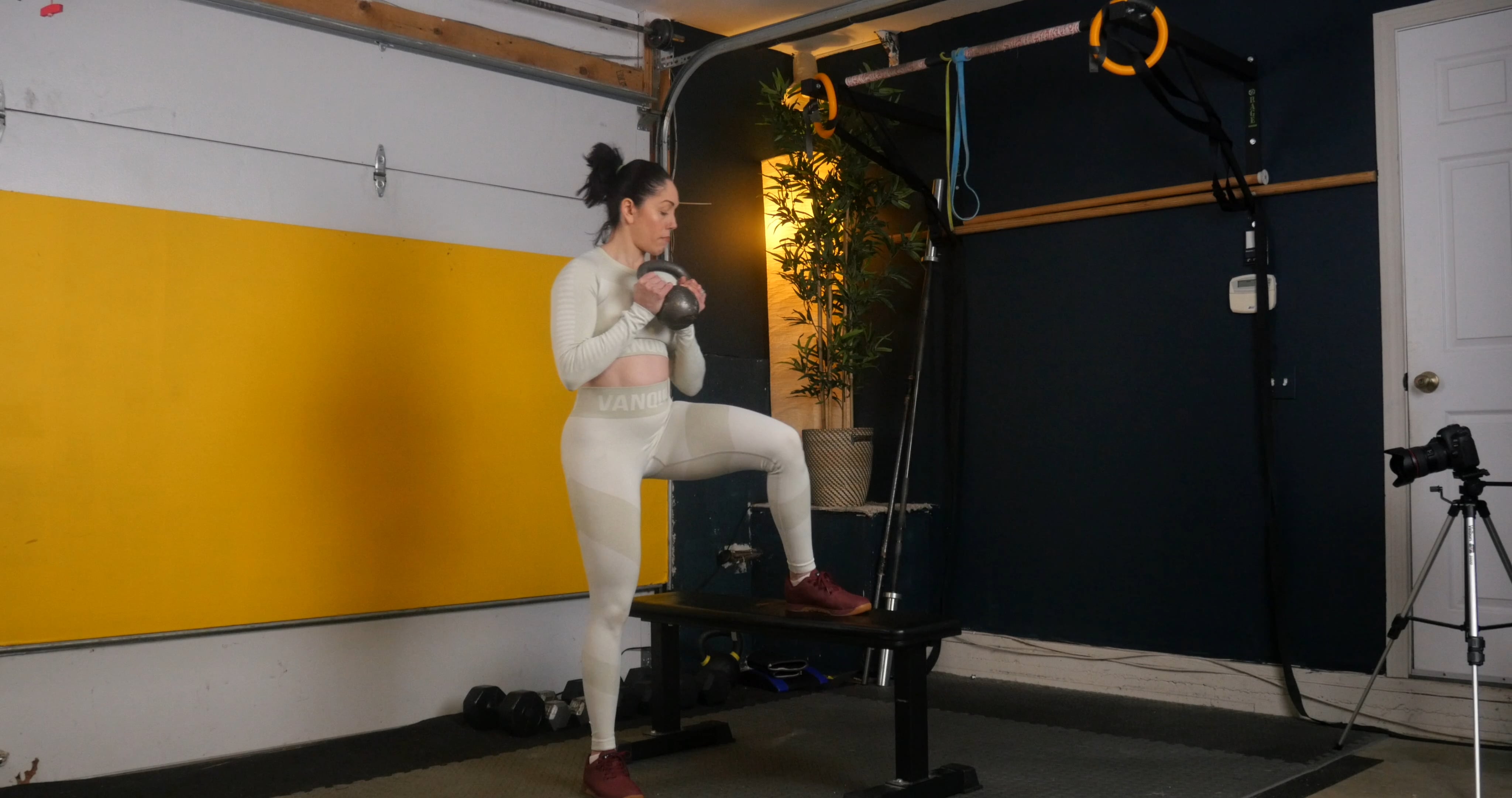 Leg & Core Ex. 2 - Lateral Weighted Step Ups