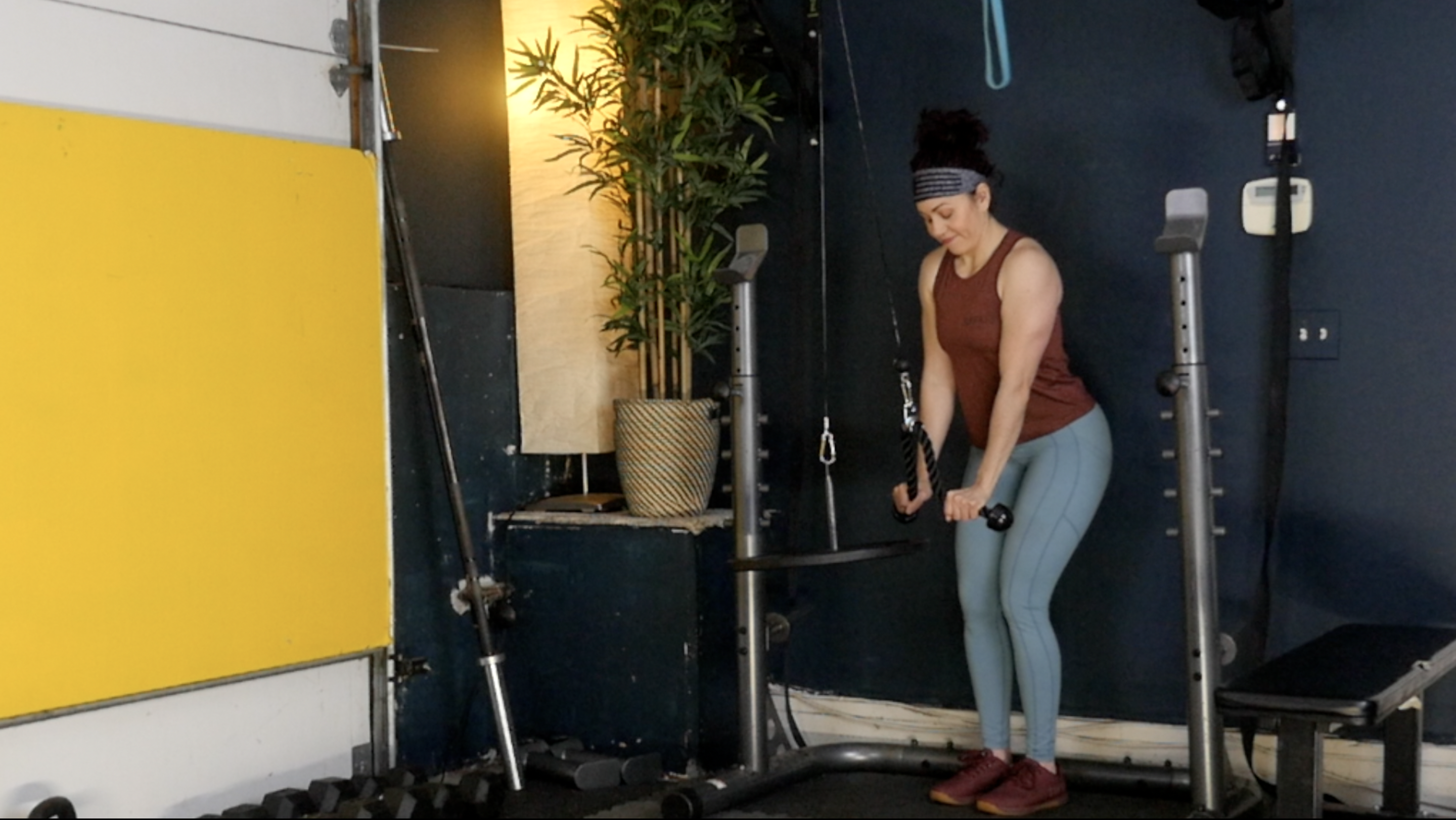 HV Week 8 Day 3 Ex 3 Hammer Curls Into Negative Bicep Curls/Tricep Push Down