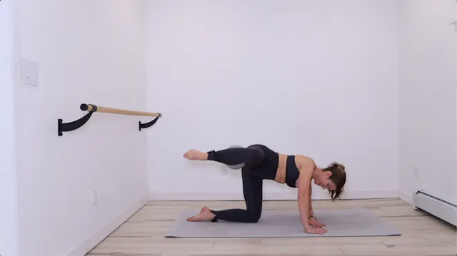 15 min Lower Body & Core with the Ball 