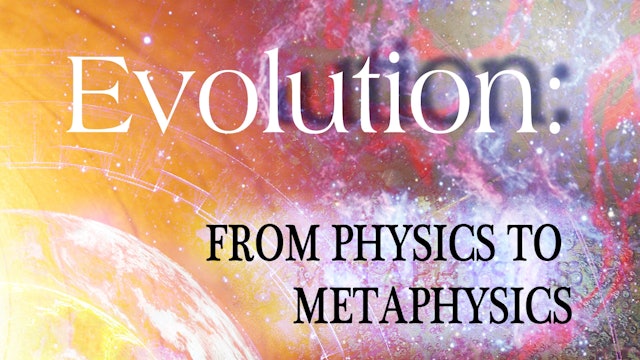 7 - From Physics to Metaphysics