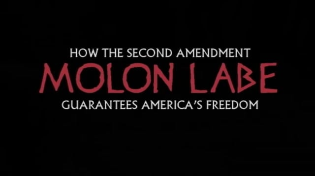 Molon Labe: Gun Control