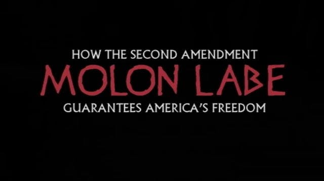 Molon Labe: Gun Control