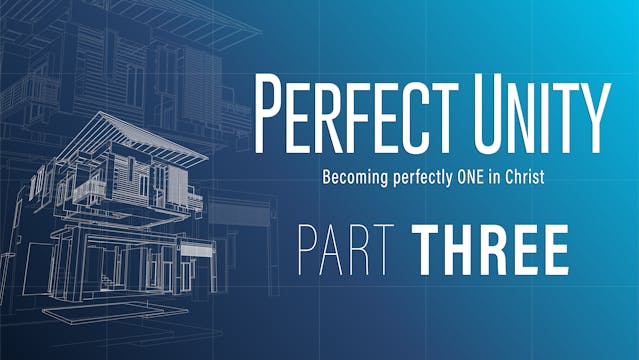 Perfect Unity Part 3