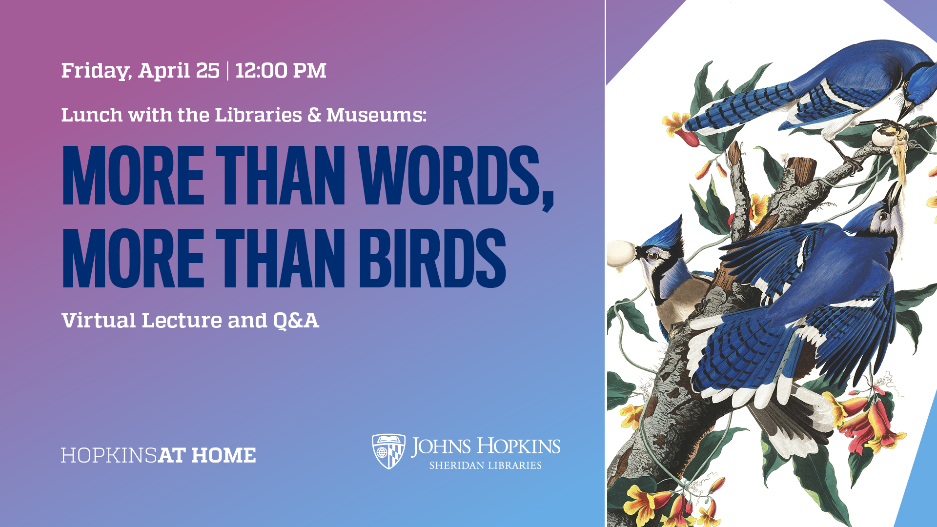 Lunch with the Libraries & Museums | More than Words, More than Birds (w/ Q&A)
