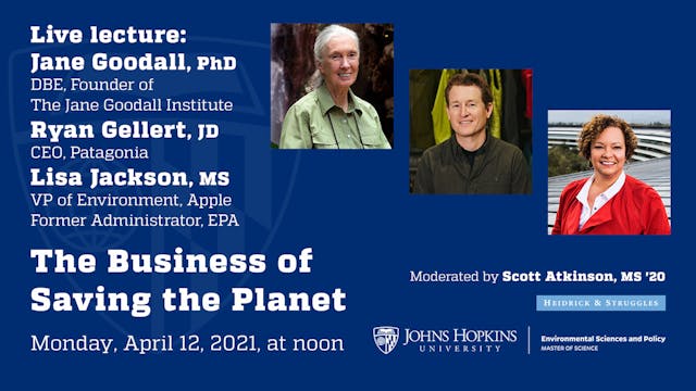 Business of Saving the Planet: A Call...