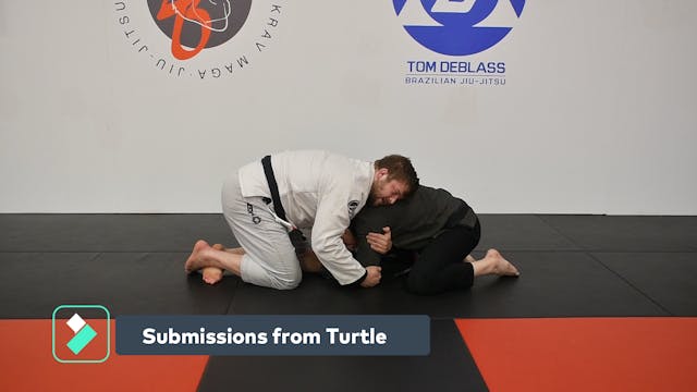 Submissions from Turtle