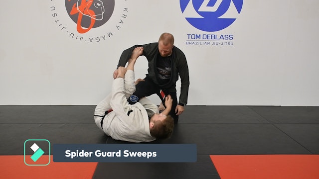 Spider Guard Sweeps