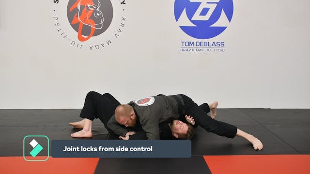 Joint locks from side control