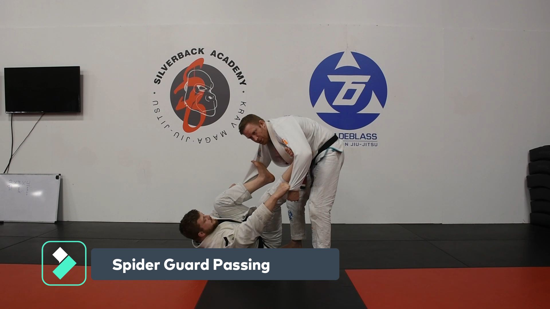 Spider Guard Passing