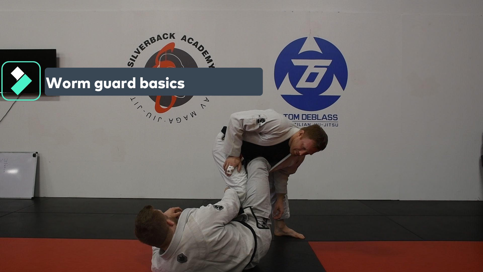 Worm Guard Basics