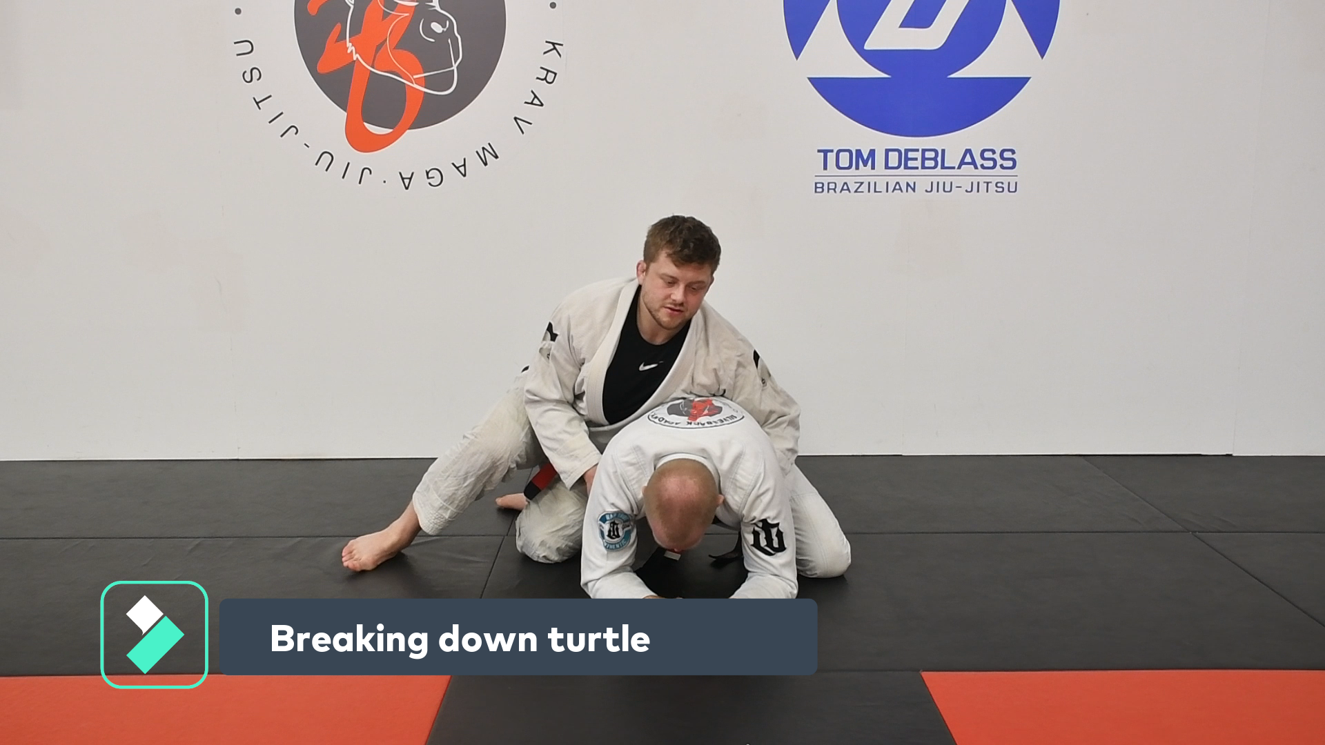 Breaking down turtle