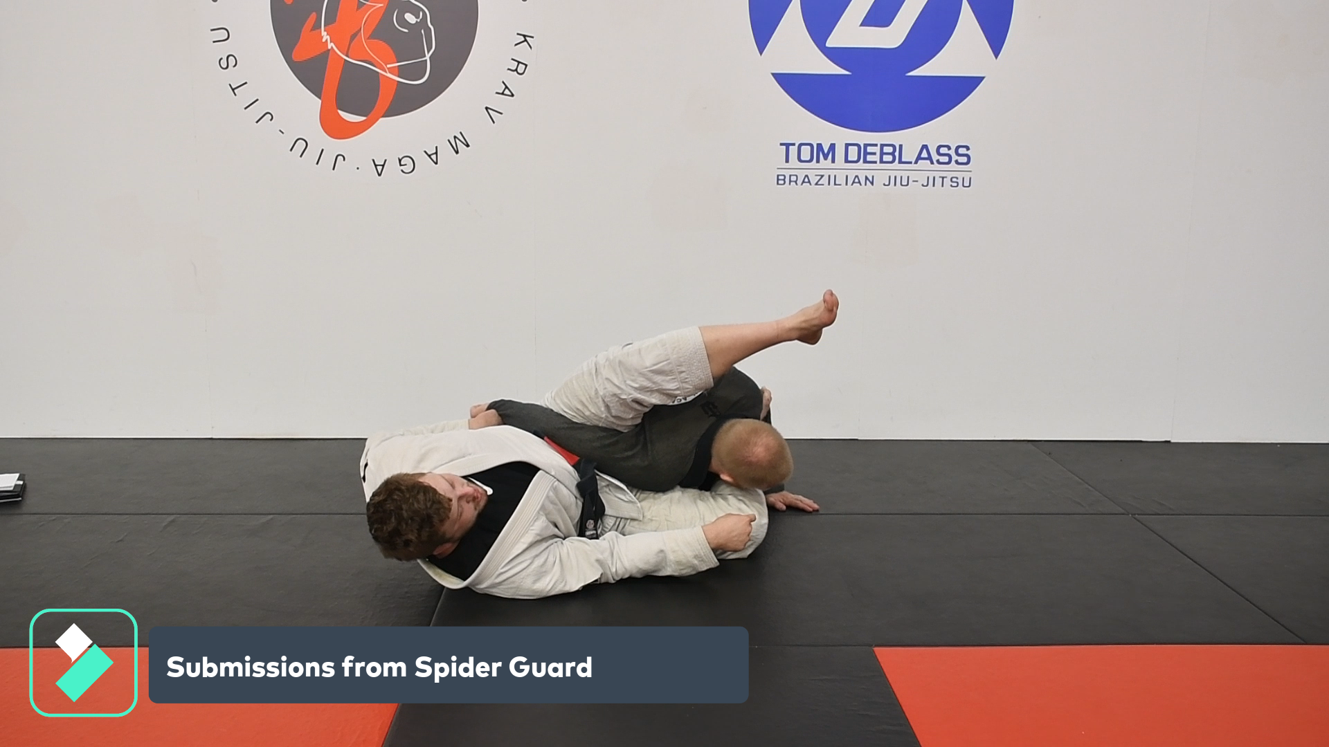 Submissions from Spider Guard