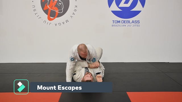 Mount Escapes