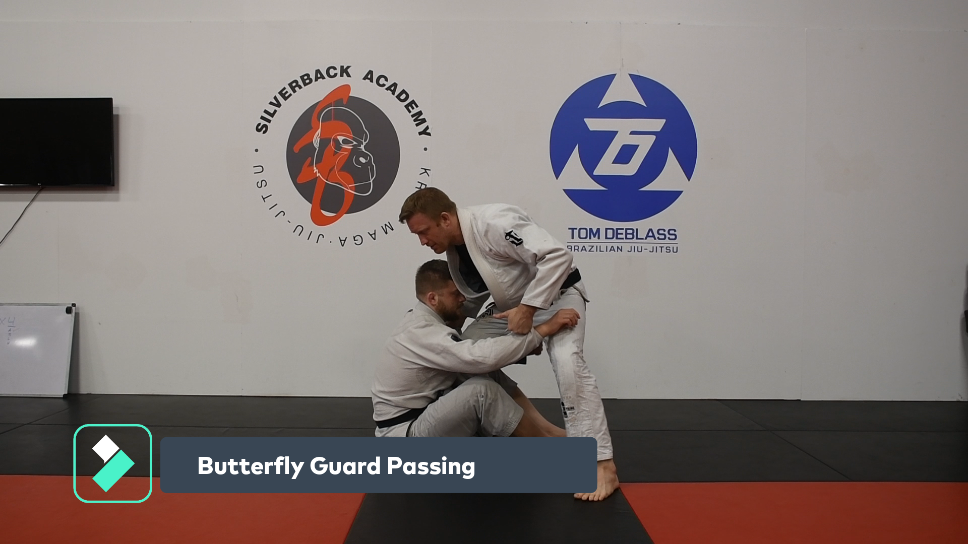Butterfly Guard Passing