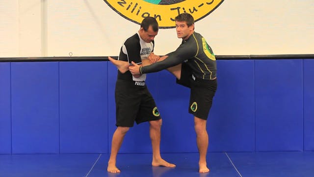 Single leg defense standing (FREE LEG)