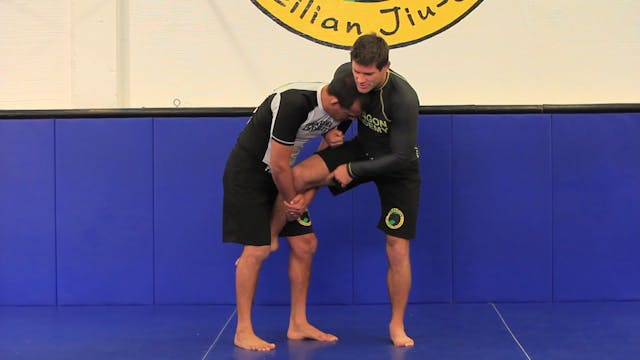 Single leg defense standing