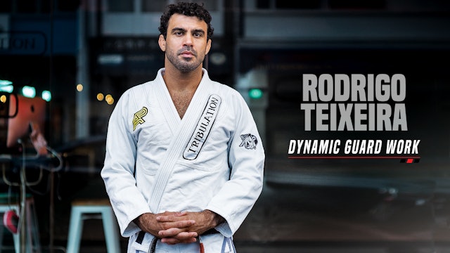 Rodrigo Teixeira - Dynamic Guard Work