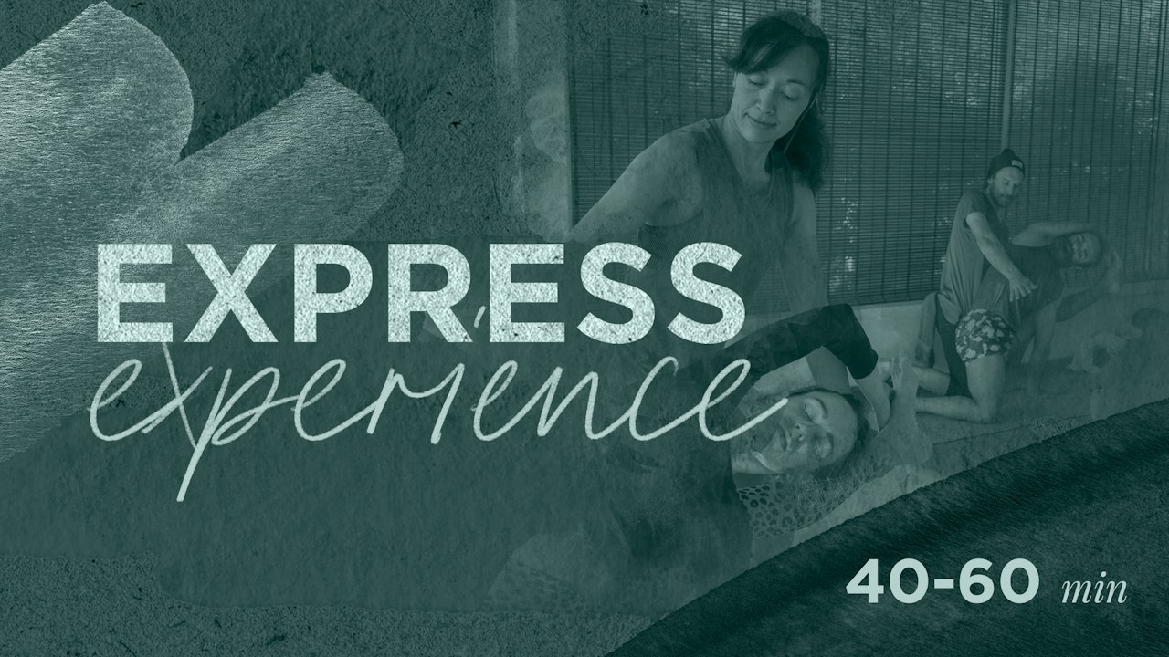 Express Experience (40-60minutes)