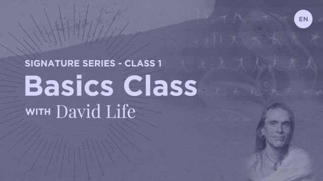 Signature Class 1: Basics [audio] - David Life
