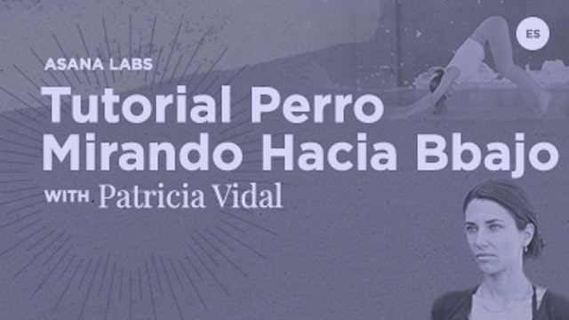 8 Min Basic - Tutorial perro mirando hacia abajo - Patricia Vidal (Spanish)