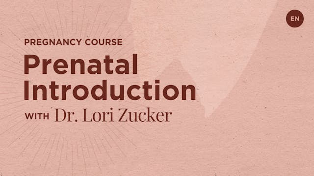 3m Prenatal Introduction - Dr. Lori S Zucker_new
