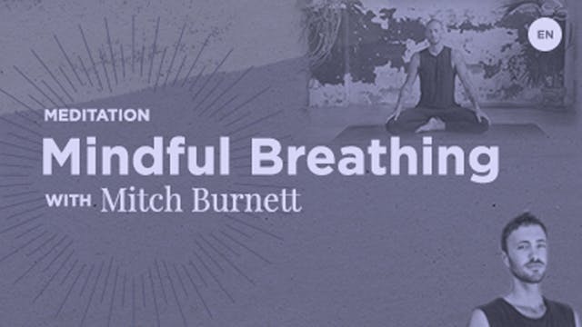 Meditation - Mindful Breathing - Mitc...