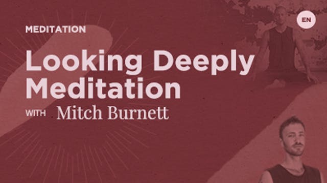 Meditation - Looking Deeply with Mitc...