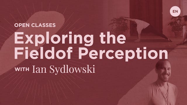 Exploring the Field of Perception wit...