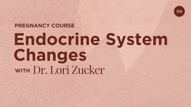 30m Prenatal 2 - Endocrine Changes - Dr. Lori S Zucker