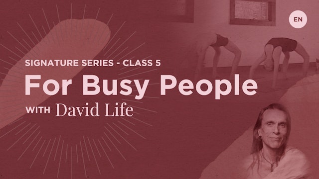 Signature Class 5: For Busy People - David Life