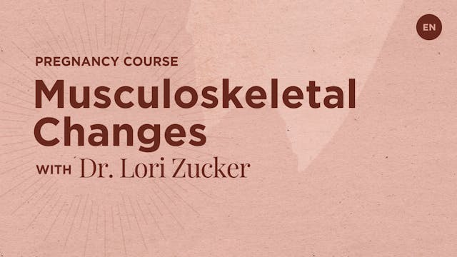 70m Prenatal 3 - Musculoskeletal Changes - Dr. Lori S Zucker