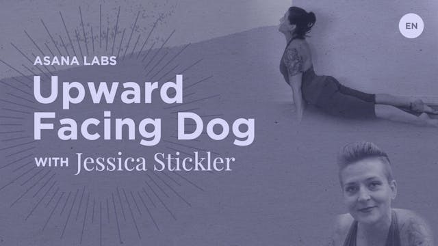 20m Asana Lab 'Upward Facing Dog - Urdva Mukha Svanasana' - Jessica Stickler
