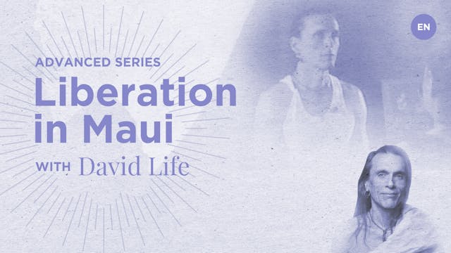 Liberation in Maui - David Life