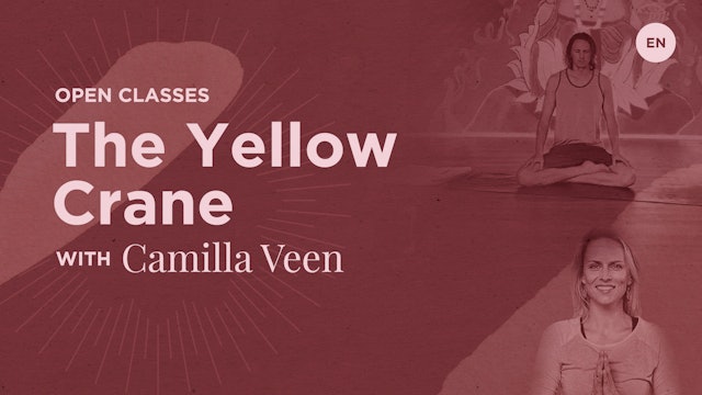 [Live] Open Class - The Yellow Crane with Camilla Veen
