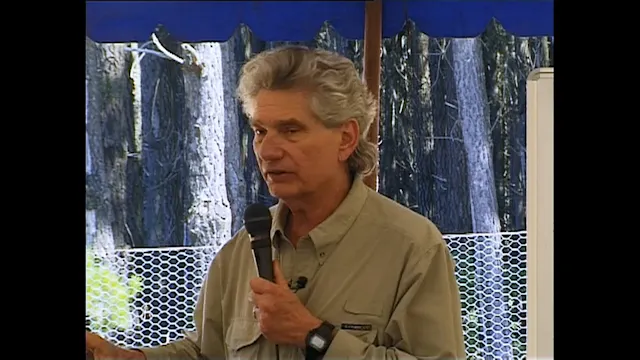 The Voice Dialogue Series Video 6 - Relationships and Bonding Patterns 2