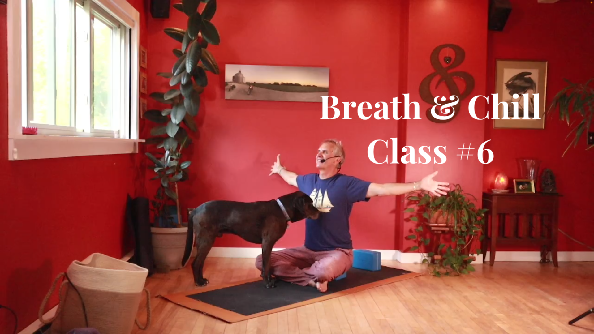 Breathe & Chill - Class #6
