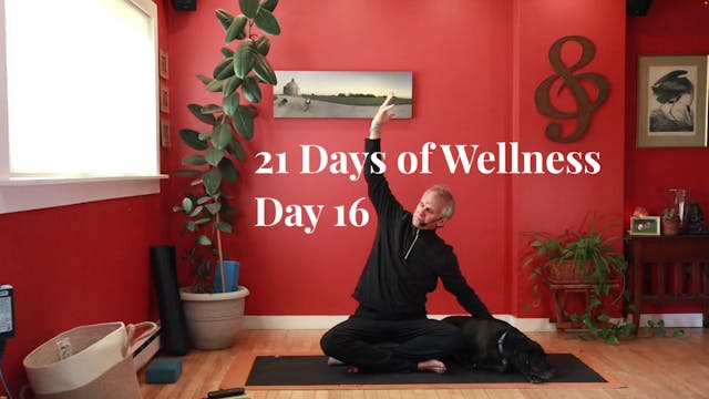 21 Days of Wellness :: Day 16