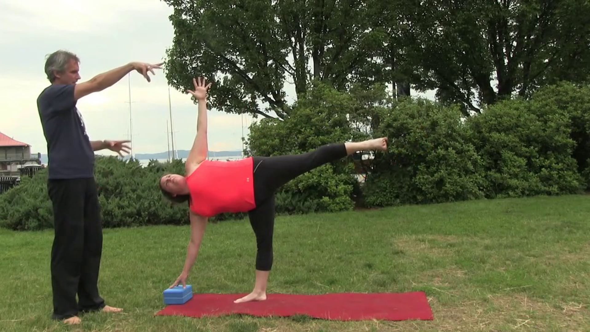 Yoga Shot - Half Moon (Ardha Chandrasana)
