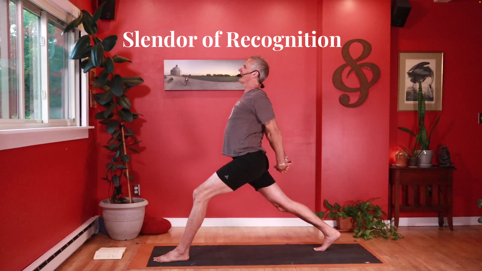 Splendor of Recognition