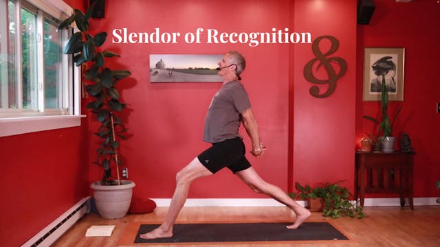Splendor of Recognition