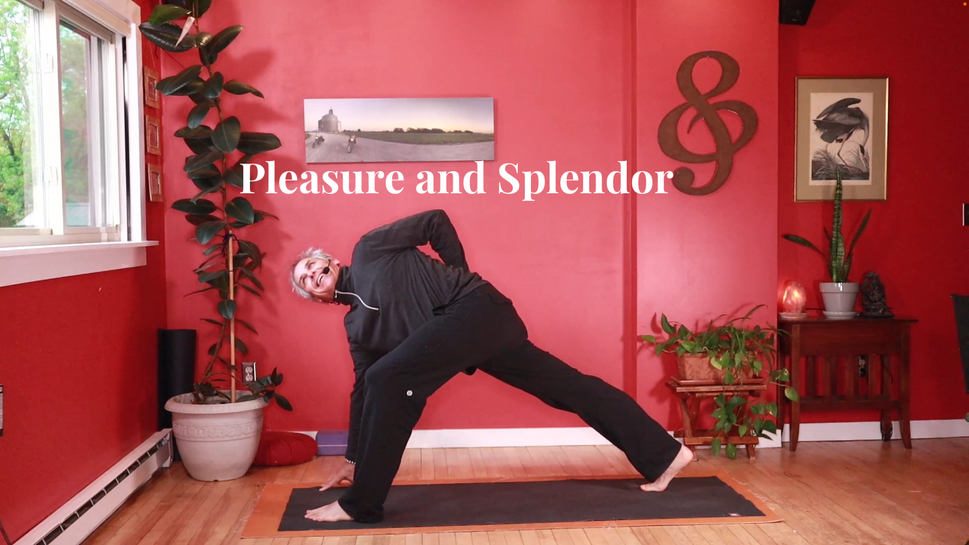 Pleasure and Splendor