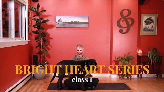 Bright Heart Series - Class 1