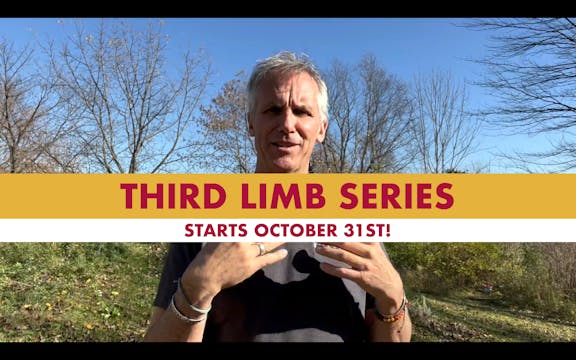 Third Limb Series