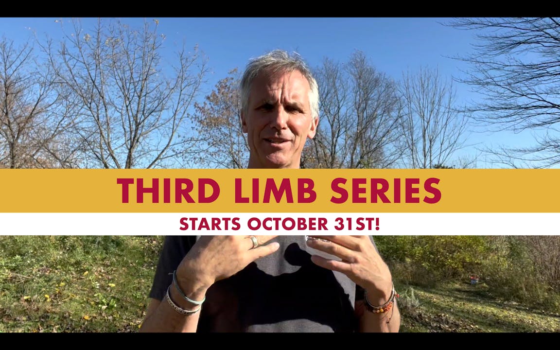 Third Limb Series