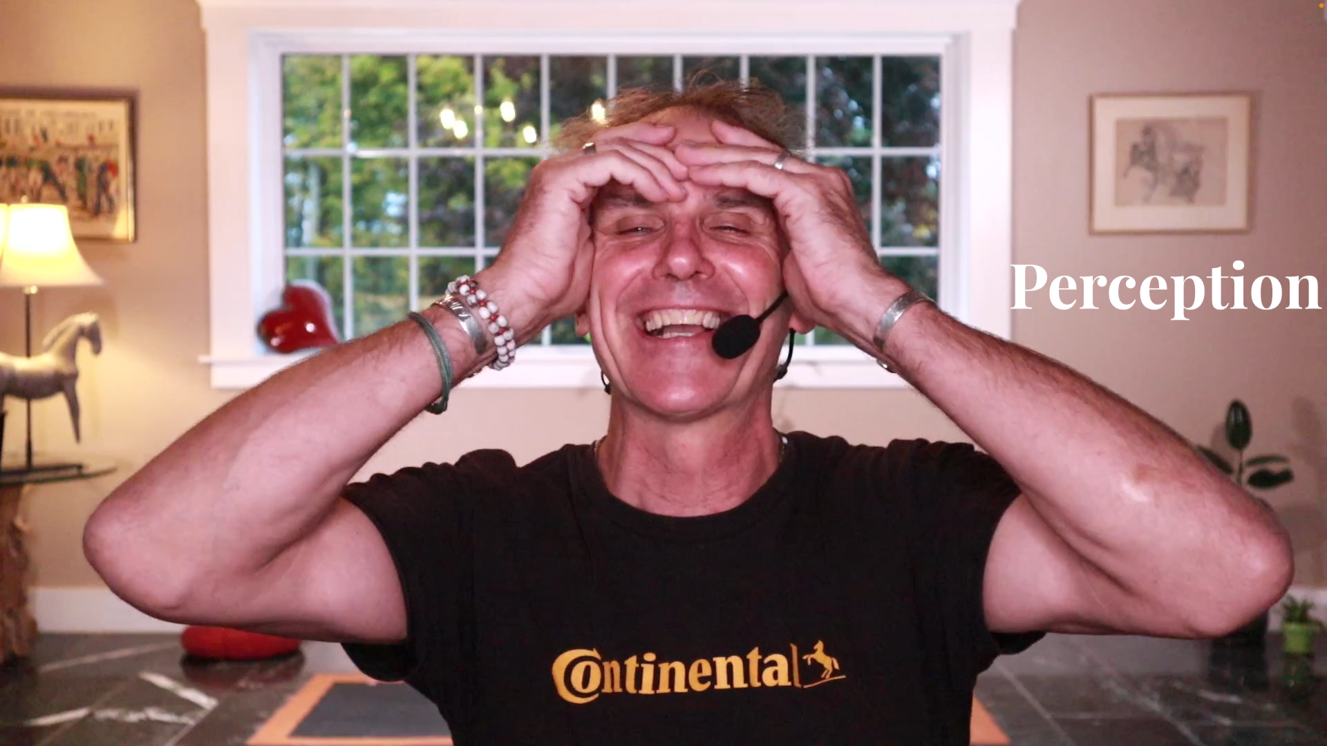Perception