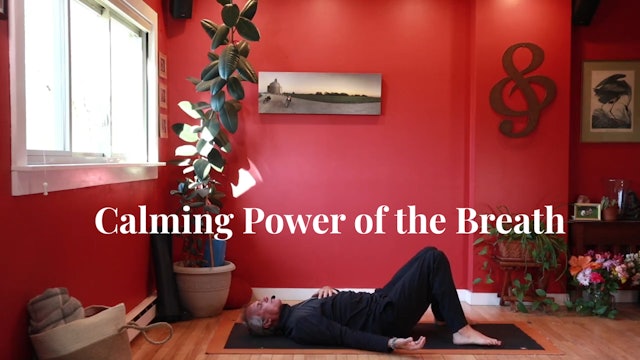 Calming Power of The Breath