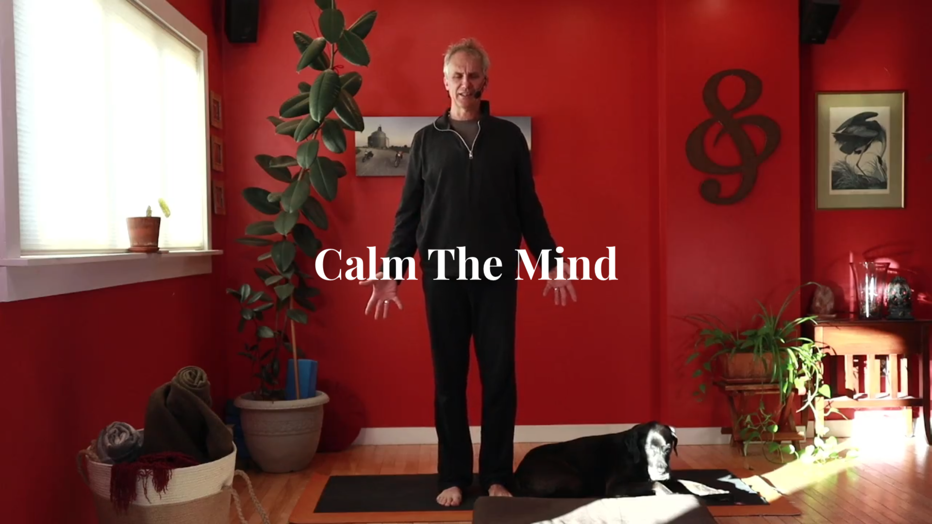 Calm The Mind