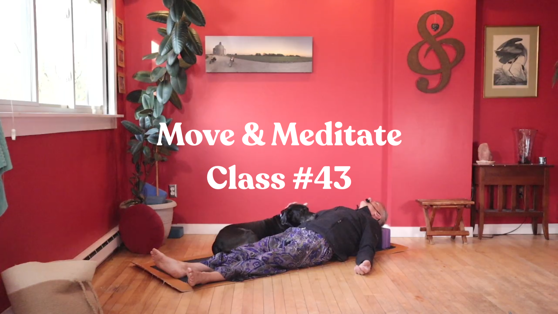 Move & Meditate - Class #43